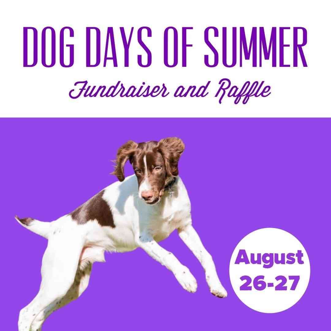 dog-days-of-summer-fundraiser-2022